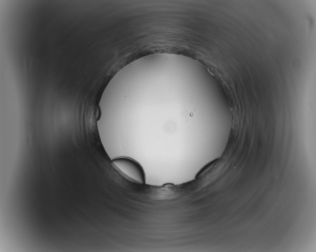 X0000099970287200805231008