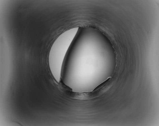 X0000099970288200805231008