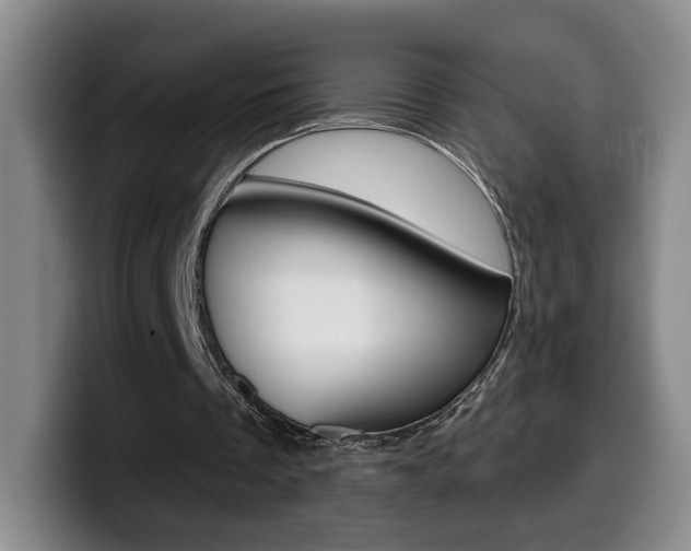 X0000099970289200805231008
