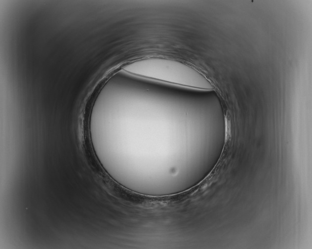 X0000099970291200805231008