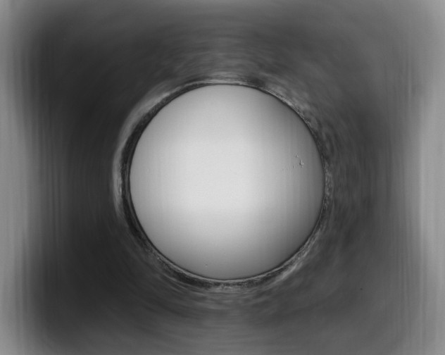 X0000099970294200805231008