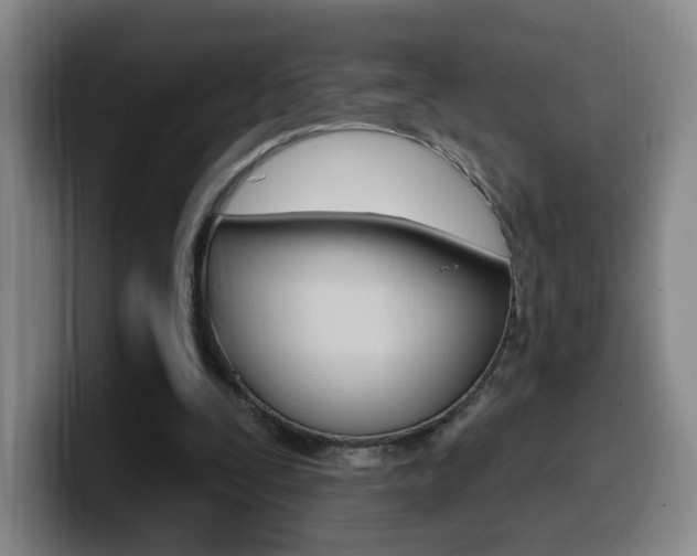 X0000099970295200805231008