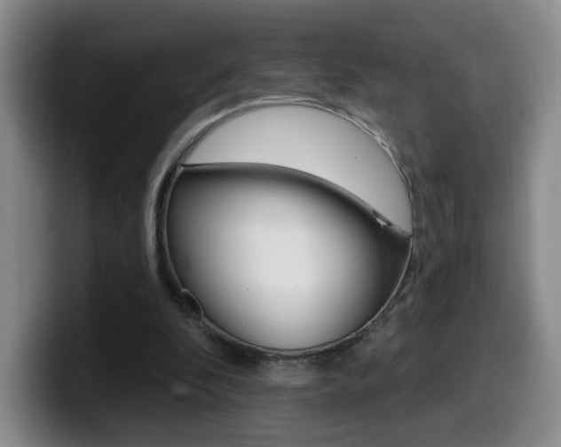 X0000099970296200805231007