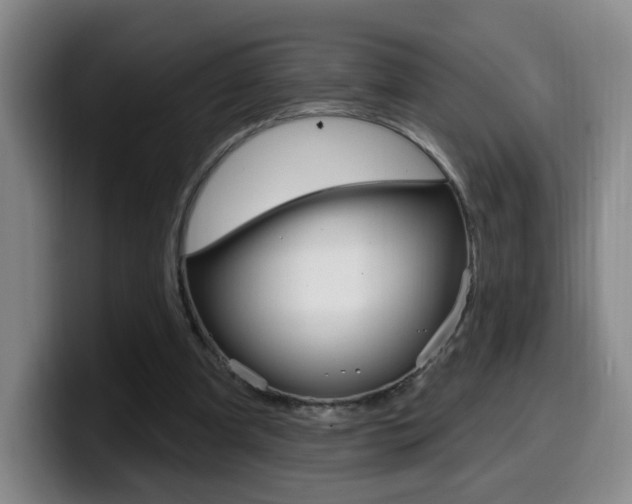 X0000099970297200805231007