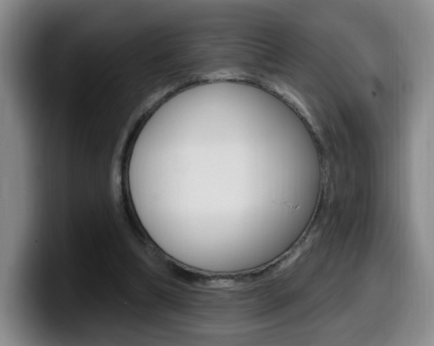 X0000099970298200805231007