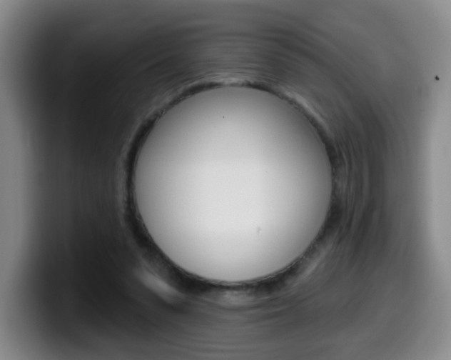 X0000099970303200805231007
