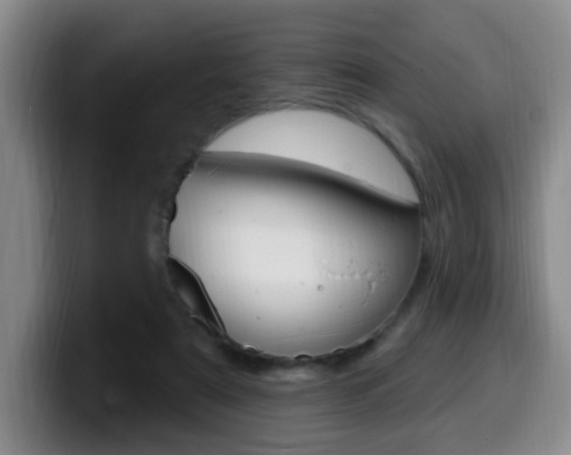X0000099970307200805231007