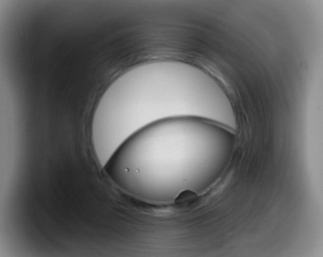 X0000099970309200805231007