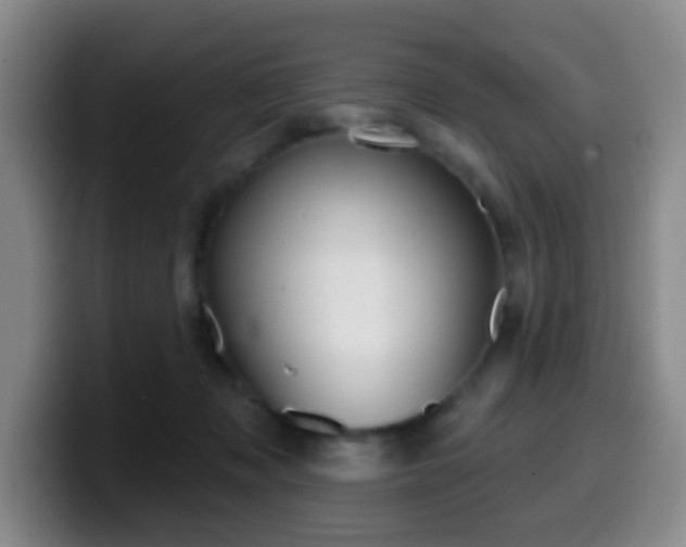 X0000099970317200805231007
