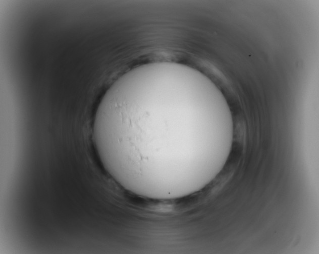 X0000099970318200805231007