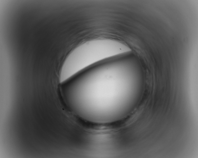 X0000099970319200805231007