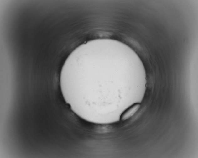 X0000099970321200805231007