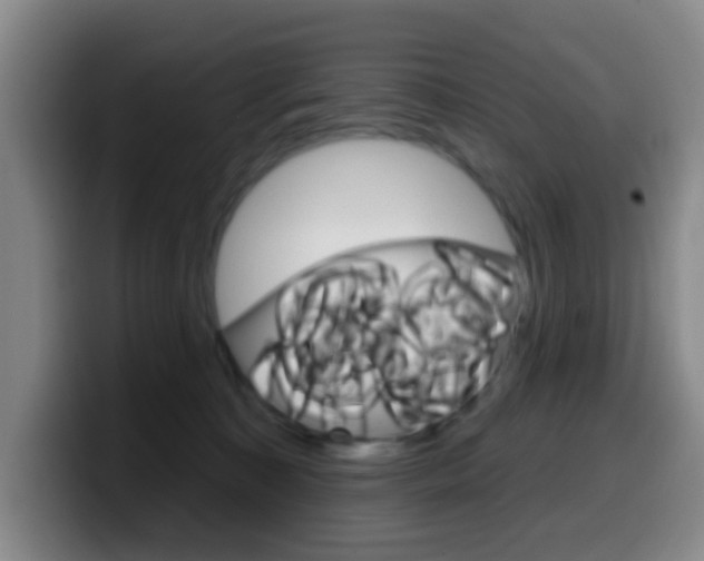X0000099970323200805231007