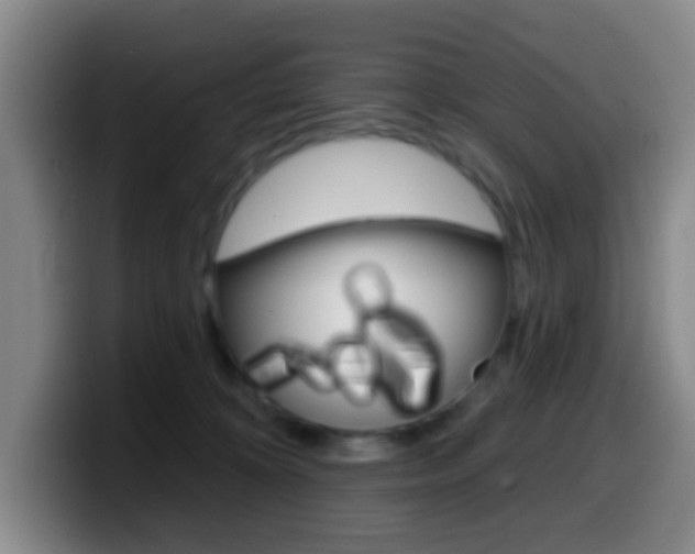 X0000099970324200805231007