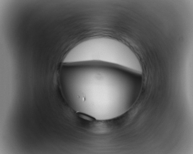 X0000099970325200805231007