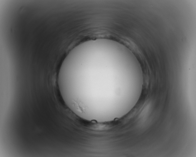 X0000099970326200805231007