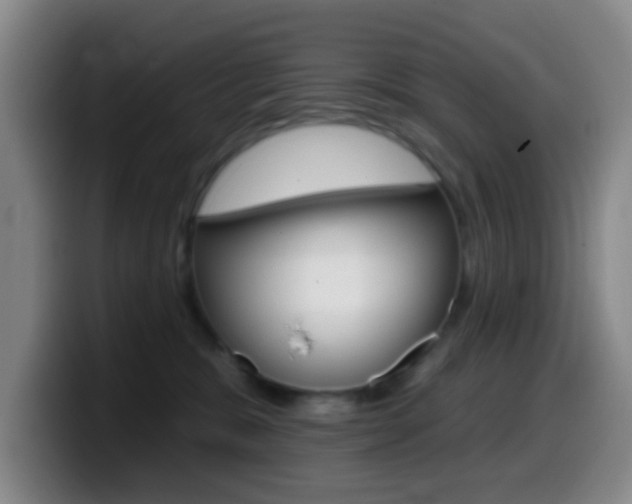 X0000099970327200805231007