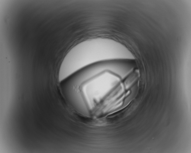 X0000099970328200805231007