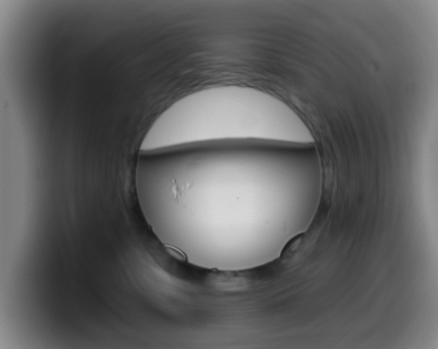 X0000099970331200805231007