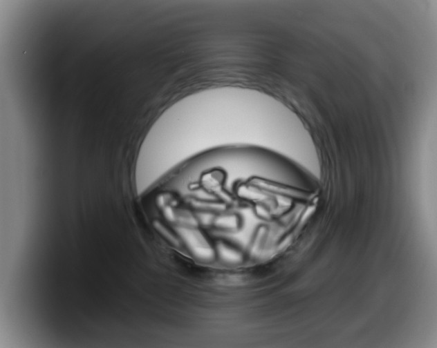 X0000099970332200805231007