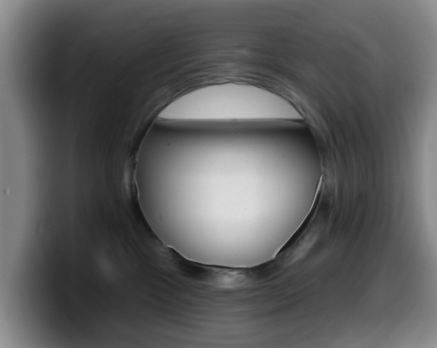 X0000099970333200805231007