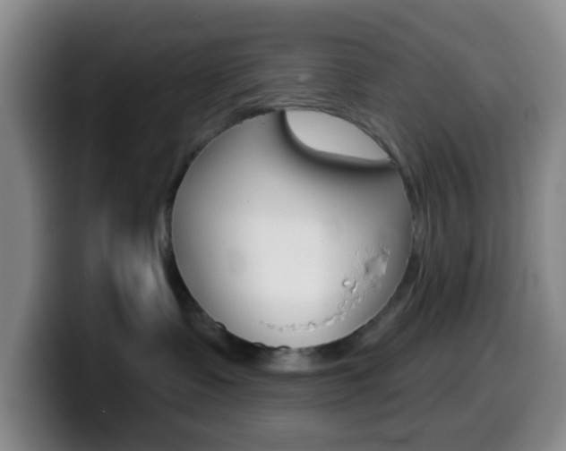 X0000099970335200805231007