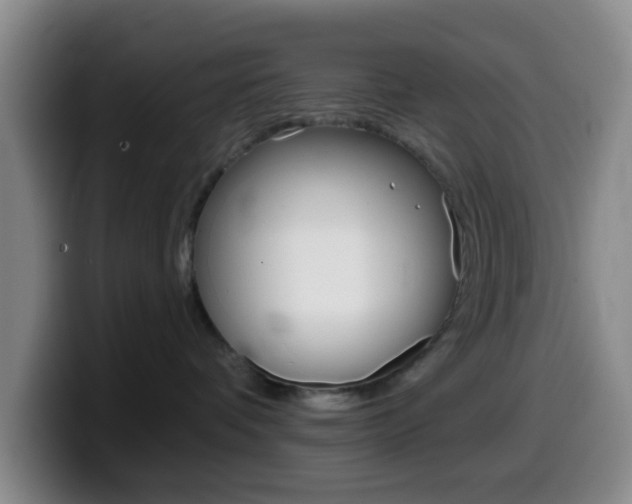 X0000099970336200805231007