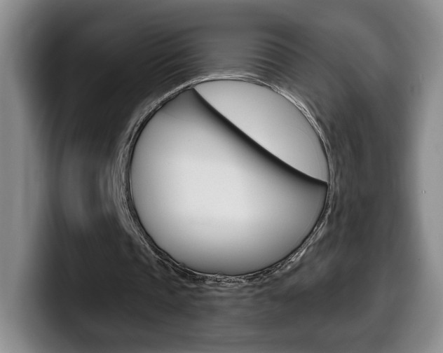 X0000099970337200805231006