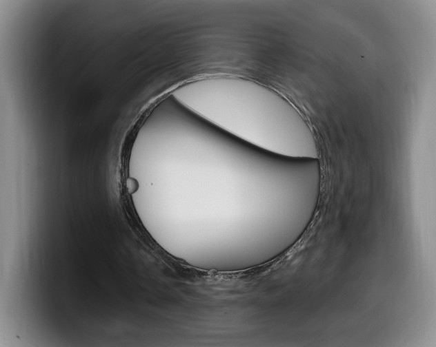 X0000099970338200805231006