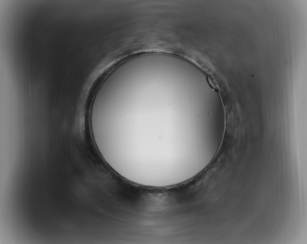 X0000099970344200805231006