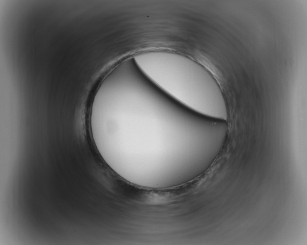 X0000099970346200805231006