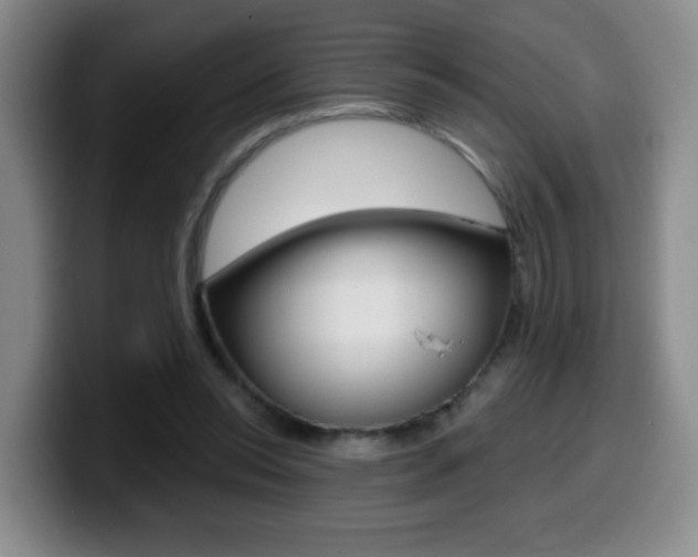 X0000099970350200805231006
