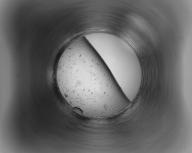 X0000099970351200805231007