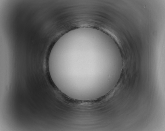X0000099970353200805231007