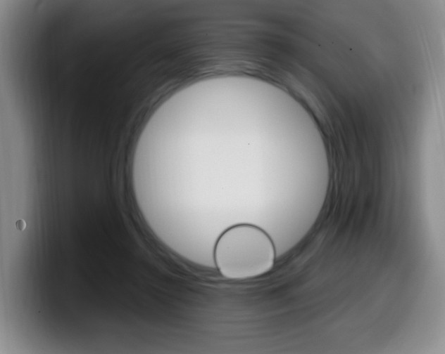 X0000099970356200805231007