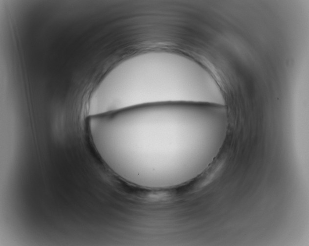 X0000099970357200805231007