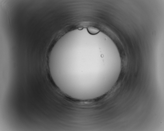 X0000099970361200805231007