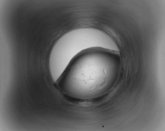 X0000099970362200805231007