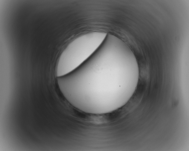 X0000099970367200805231007