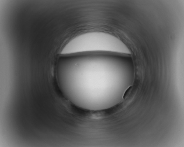 X0000099970368200805231007