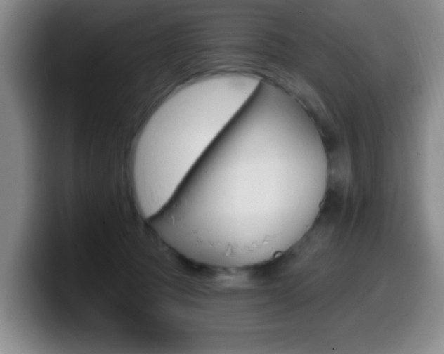 X0000099970369200805231007