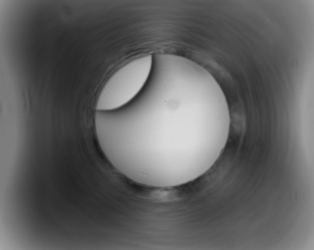X0000099970375200805231007