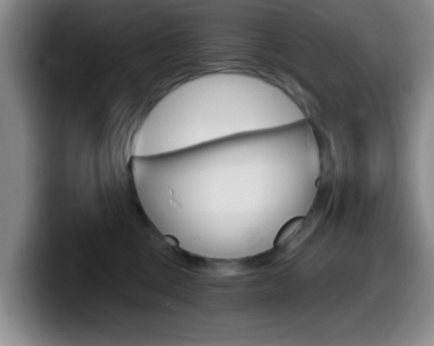 X0000099970377200805231007