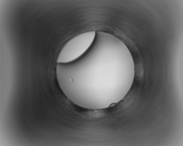 X0000099970378200805231007