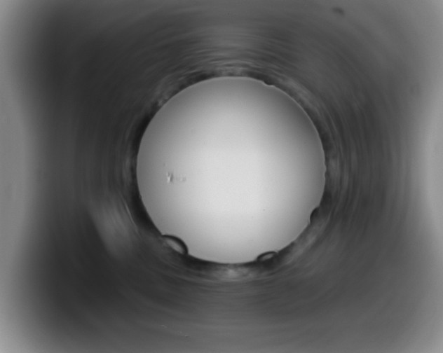 X0000099970379200805231007