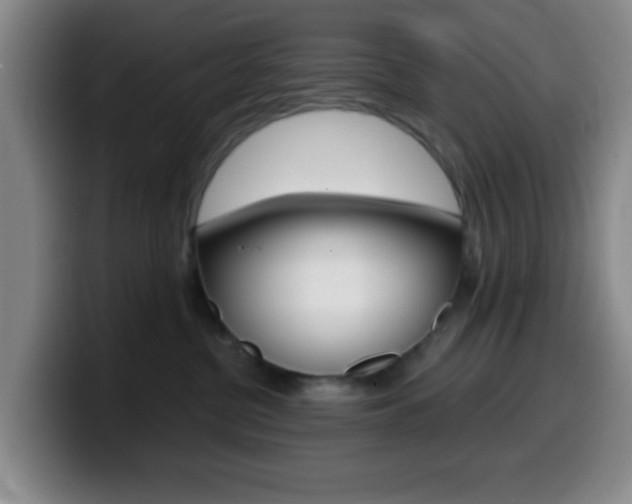 X0000099970380200805231007