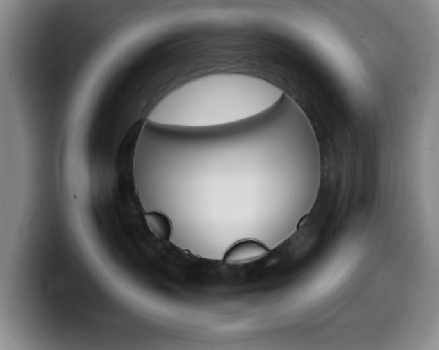 X0000099970383200805231007