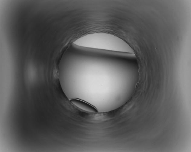 X0000099970384200805231007