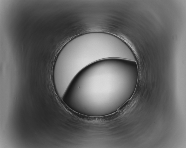 X0000099970385200805231006