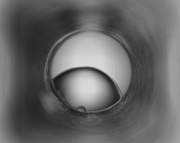 X0000099970388200805231006